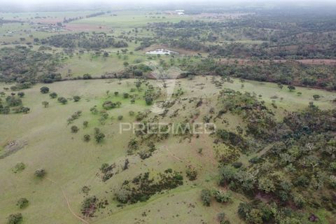 Farm hus i Odemira, Beja, Odemira - € 1.450.000 | Ref: 038024 - foto 14