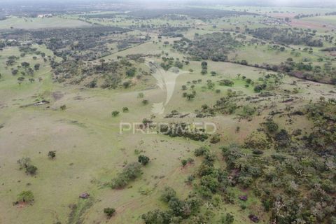 Farm hus i Odemira, Beja, Odemira - € 1.450.000 | Ref: 038024 - foto 15