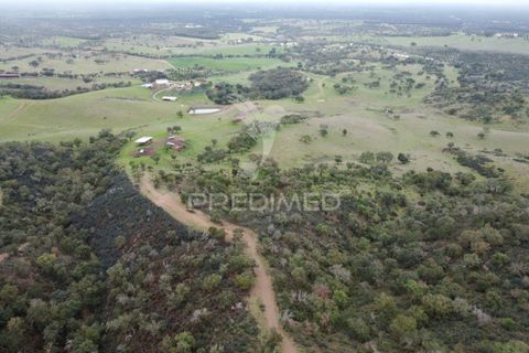 Farm hus i Odemira, Beja, Odemira - € 1.450.000 | Ref: 038024 - foto 17