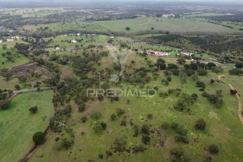 Farm hus i Odemira, Beja, Odemira - € 1.450.000 | Ref: 038024 - foto 19