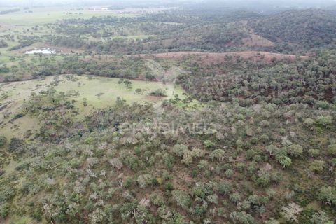 Farm hus i Odemira, Beja, Odemira - € 1.450.000 | Ref: 038024 - foto 21