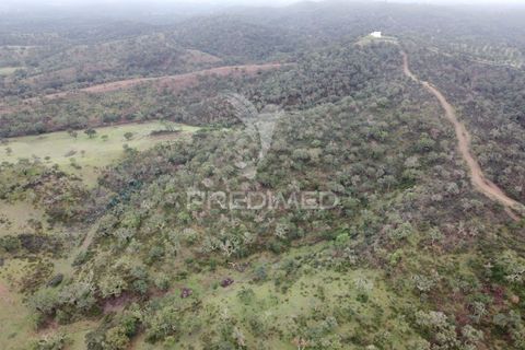 Farm hus i Odemira, Beja, Odemira - € 1.450.000 | Ref: 038024 - foto 22