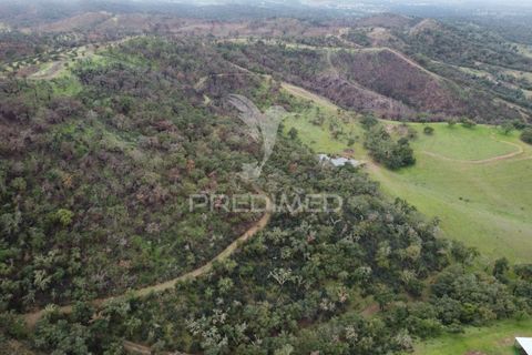 Farm hus i Odemira, Beja, Odemira - € 1.450.000 | Ref: 038024 - foto 23