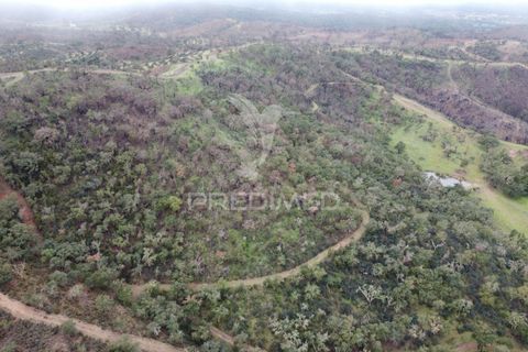 Farm hus i Odemira, Beja, Odemira - € 1.450.000 | Ref: 038024 - foto 24
