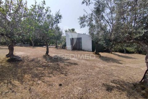 Terra a Castelo de Vide, Portalegre, Castelo de Vide - € 45.000 | Ref: 038119 - foto 5