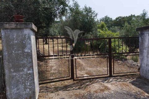 Terra a Castelo de Vide, Portalegre, Castelo de Vide - € 45.000 | Ref: 038119 - foto 9