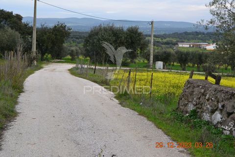 Terra a Vila Vicosa, Evora, Vila Vicosa - € 28.000 | Ref: 038418 - foto 2