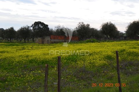 Terra a Vila Vicosa, Evora, Vila Vicosa - € 28.000 | Ref: 038418 - foto 3