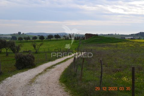 Terra a Vila Vicosa, Evora, Vila Vicosa - € 28.000 | Ref: 038418 - foto 4