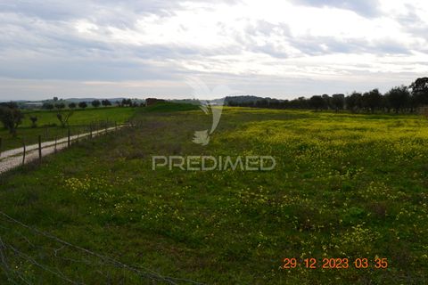 Terra a Vila Vicosa, Evora, Vila Vicosa - € 28.000 | Ref: 038418 - foto 5