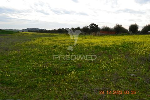 Terra a Vila Vicosa, Evora, Vila Vicosa - € 28.000 | Ref: 038418 - foto 6