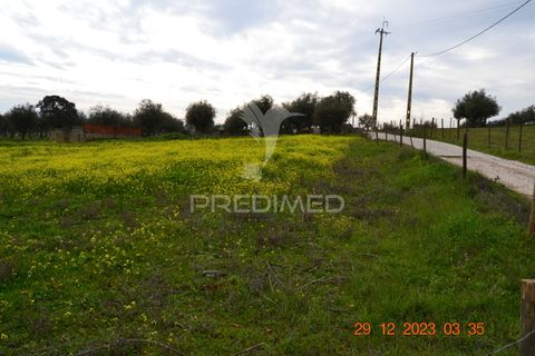 Terra a Vila Vicosa, Evora, Vila Vicosa - € 28.000 | Ref: 038418 - foto 8
