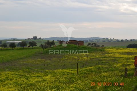 Terra a Vila Vicosa, Evora, Vila Vicosa - € 28.000 | Ref: 038418 - foto 9