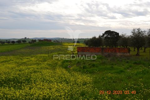 Terra a Vila Vicosa, Evora, Vila Vicosa - € 28.000 | Ref: 038418 - foto 10