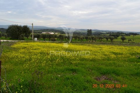 Terra a Vila Vicosa, Evora, Vila Vicosa - € 28.000 | Ref: 038418 - foto 11