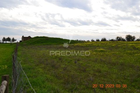Terra a Vila Vicosa, Evora, Vila Vicosa - € 28.000 | Ref: 038418 - foto 13