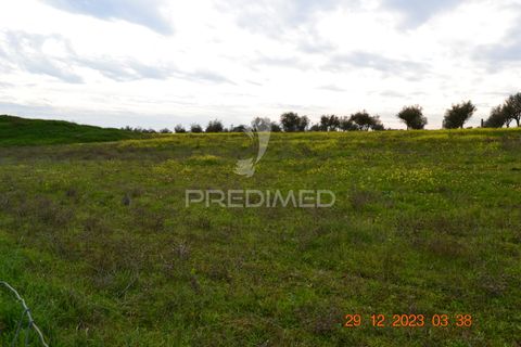 Terra a Vila Vicosa, Evora, Vila Vicosa - € 28.000 | Ref: 038418 - foto 14