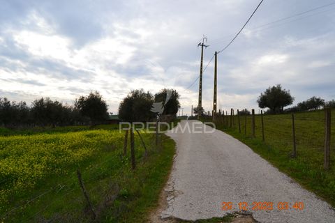 Terra a Vila Vicosa, Evora, Vila Vicosa - € 28.000 | Ref: 038418 - foto 15