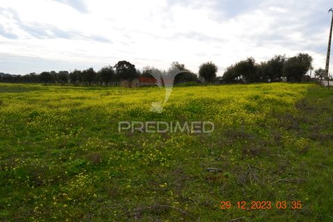 Terra a Vila Vicosa, Evora, Vila Vicosa - € 28.000 | Ref: 038418 - foto 16