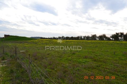 Terra a Vila Vicosa, Evora, Vila Vicosa - € 28.000 | Ref: 038418 - foto 17