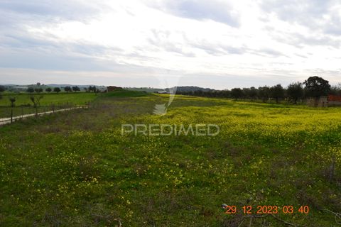 Terra a Vila Vicosa, Evora, Vila Vicosa - € 28.000 | Ref: 038418 - foto 18