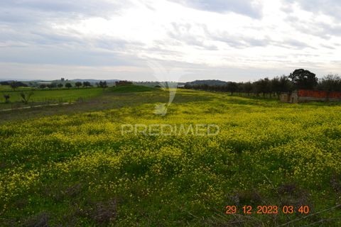 Terra a Vila Vicosa, Evora, Vila Vicosa - € 28.000 | Ref: 038418 - foto 19