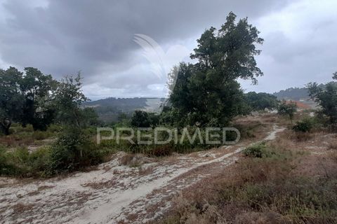 Helårsgrund i Azambuja, Lisbon, Azambuja - € 1.200.000 | Ref: 038635 - foto 3