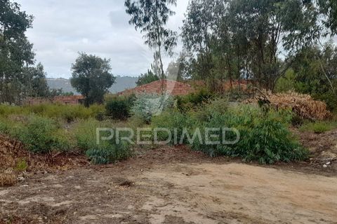 Helårsgrund i Azambuja, Lisbon, Azambuja - € 1.200.000 | Ref: 038635 - foto 7