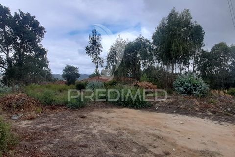 Helårsgrund i Azambuja, Lisbon, Azambuja - € 1.200.000 | Ref: 038635 - foto 8