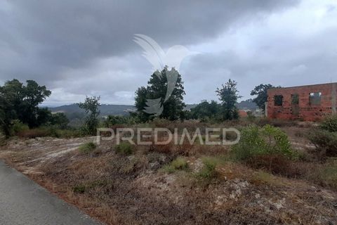 Helårsgrund i Azambuja, Lisbon, Azambuja - € 1.200.000 | Ref: 038635 - foto 12