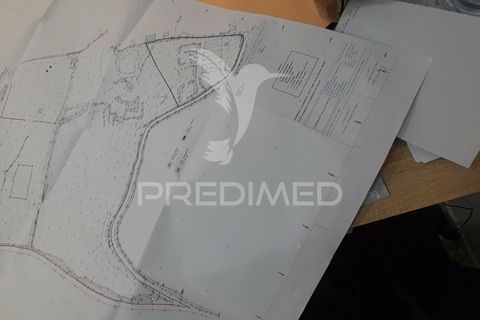 Helårsgrund i Azambuja, Lisbon, Azambuja - € 1.200.000 | Ref: 038635 - foto 23