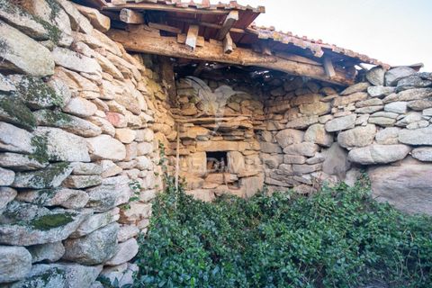 Byhus i Trancoso, Guarda, Trancoso - € 38.000 | Ref: 039860 - foto 7