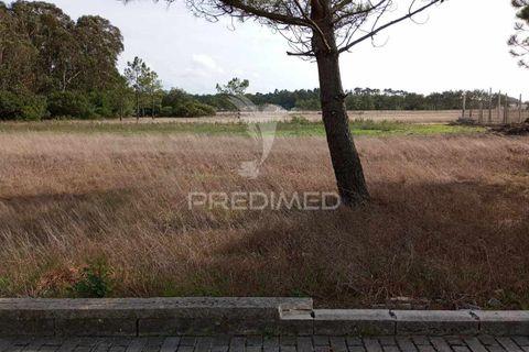 Helårsgrund i Ilhavo, Aveiro, Ilhavo - € 65.900 | Ref: 040170 - foto 2