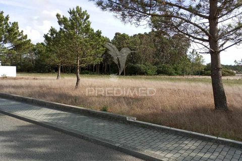 Helårsgrund i Ilhavo, Aveiro, Ilhavo - € 65.900 | Ref: 040170 - foto 3