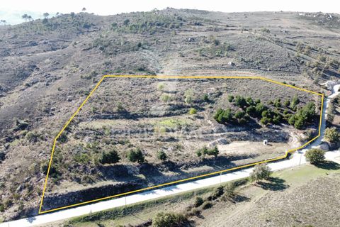 Helårsgrund i Guarda, Guarda, Guarda - € 75.000 | Ref: 040359 - foto 26