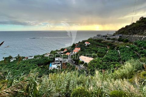 Helårsgrund i Calheta, Madeira, Calheta - € 425.000 | Ref: 040426 - foto 1