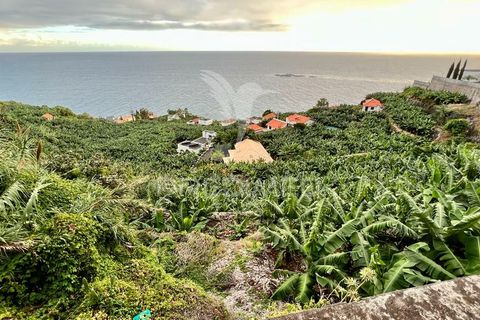 Helårsgrund i Calheta, Madeira, Calheta - € 425.000 | Ref: 040426 - foto 2