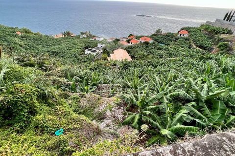 Helårsgrund i Calheta, Madeira, Calheta - € 425.000 | Ref: 040426 - foto 3