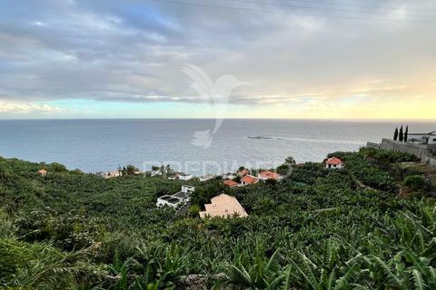 Helårsgrund i Calheta, Madeira, Calheta - € 425.000 | Ref: 040426 - foto 5