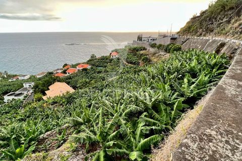 Helårsgrund i Calheta, Madeira, Calheta - € 425.000 | Ref: 040426 - foto 6