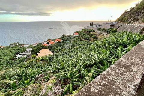 Helårsgrund i Calheta, Madeira, Calheta - € 425.000 | Ref: 040426 - foto 7
