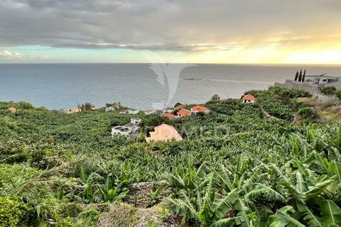 Helårsgrund i Calheta, Madeira, Calheta - € 425.000 | Ref: 040426 - foto 8