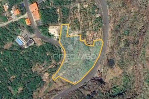 Helårsgrund i Calheta, Madeira, Calheta - € 425.000 | Ref: 040426 - foto 10