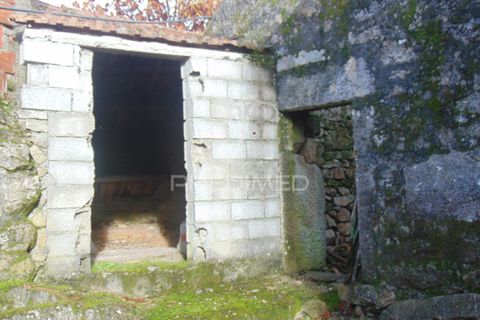 Masia a Murca, Vila Real, Murca - € 40.000 | Ref: 040990 - foto 21