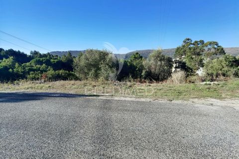 Terra a Alcanena, Santarem, Alcanena - € 40.000 | Ref: 041153 - foto 2