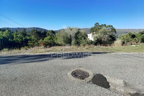 Terra a Alcanena, Santarem, Alcanena - € 40.000 | Ref: 041153 - foto 3