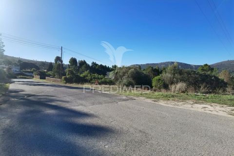 Terra a Alcanena, Santarem, Alcanena - € 40.000 | Ref: 041153 - foto 4