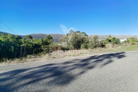 Terra a Alcanena, Santarem, Alcanena - € 40.000 | Ref: 041153 - foto 5