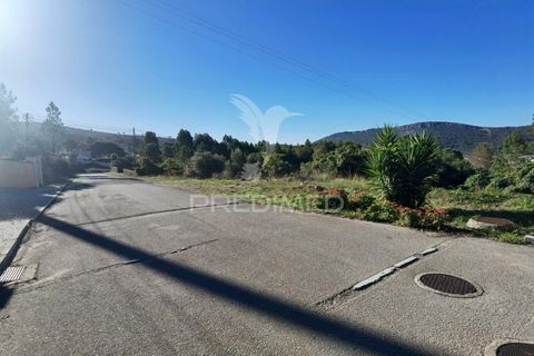 Terra a Alcanena, Santarem, Alcanena - € 40.000 | Ref: 041153 - foto 6