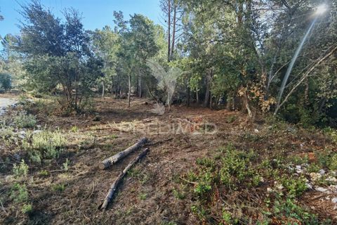 Terra a Alcanena, Santarem, Alcanena - € 40.000 | Ref: 041153 - foto 7